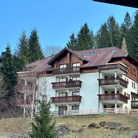 公寓 Alpine View 巴德小基希海姆